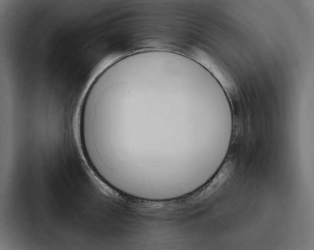 X0000088181098200705150934