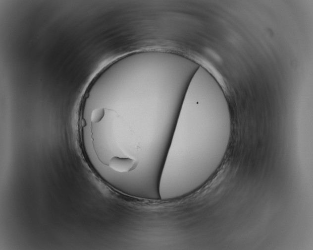 X0000088181099200705150934