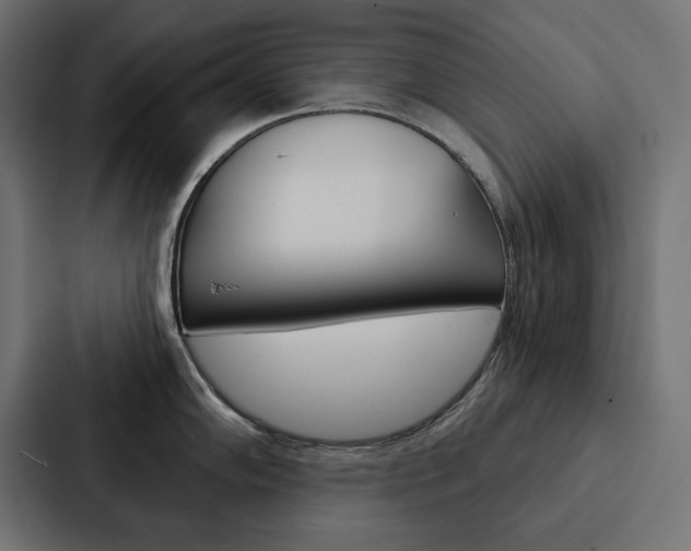 X0000088181102200705150934