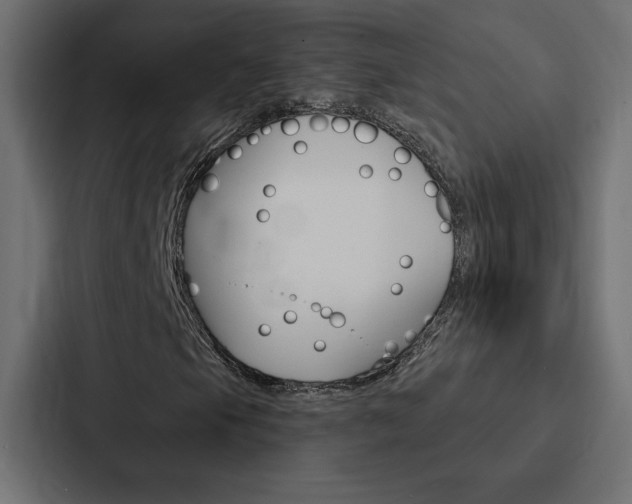 X0000088181105200705150934