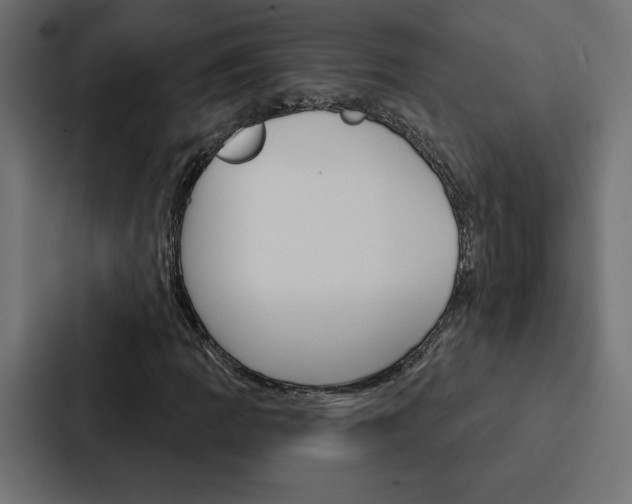 X0000088181109200705150934