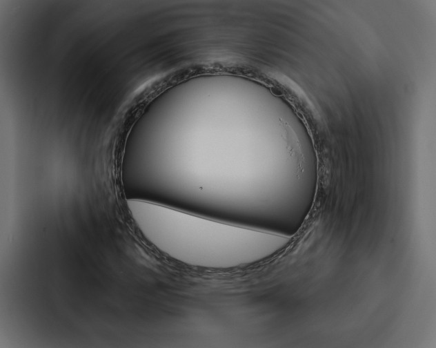 X0000088181112200705150934