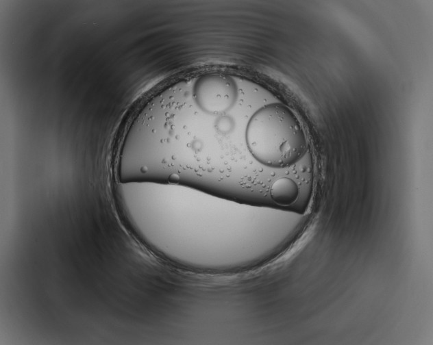 X0000088181113200705150934