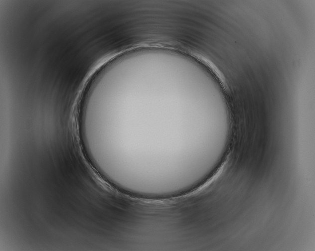 X0000088181114200705150934