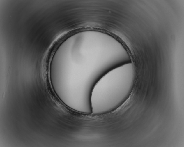 X0000088181115200705150934