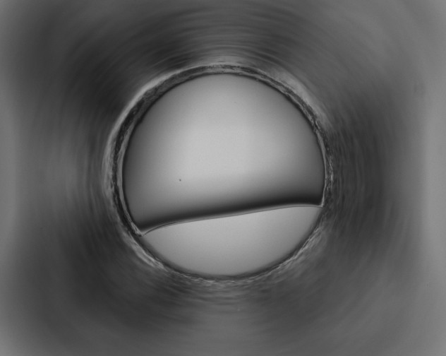 X0000088181116200705150934