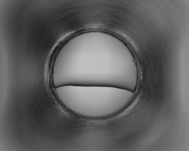 X0000088181117200705150934