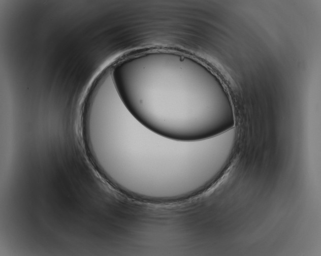 X0000088181118200705150934