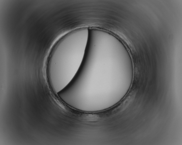 X0000088181119200705150934