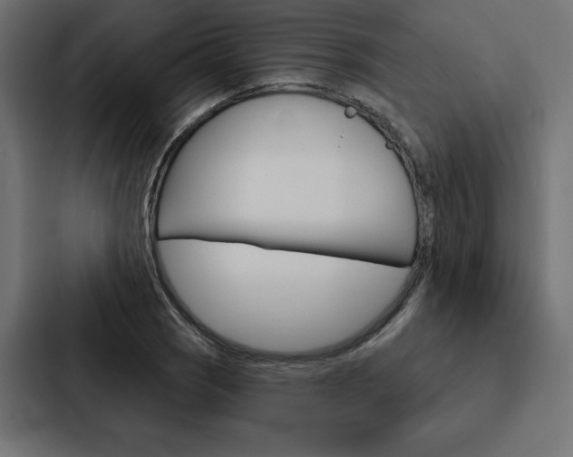 X0000088181121200705150934