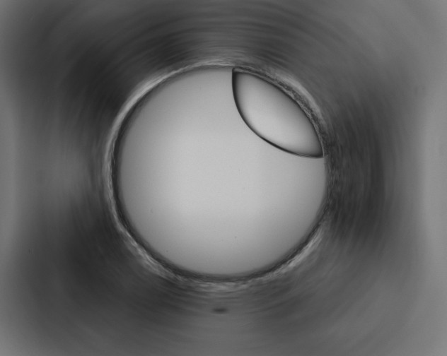 X0000088181122200705150934