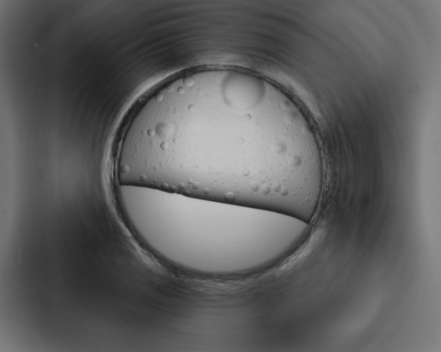 X0000088181125200705150934