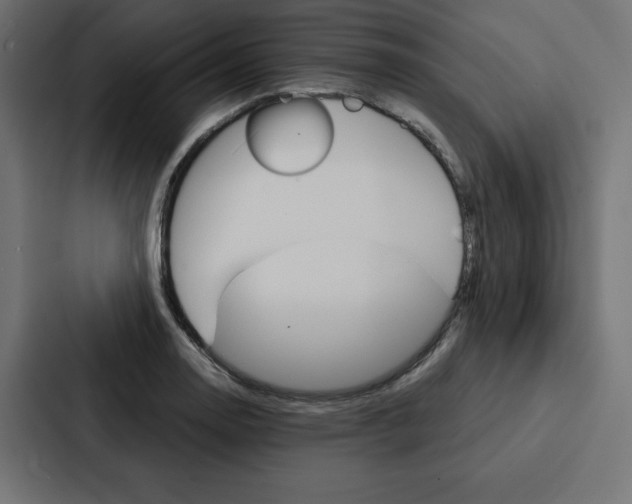 X0000088181130200705150934