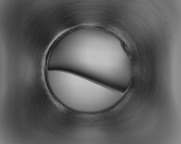 X0000088181132200705150934