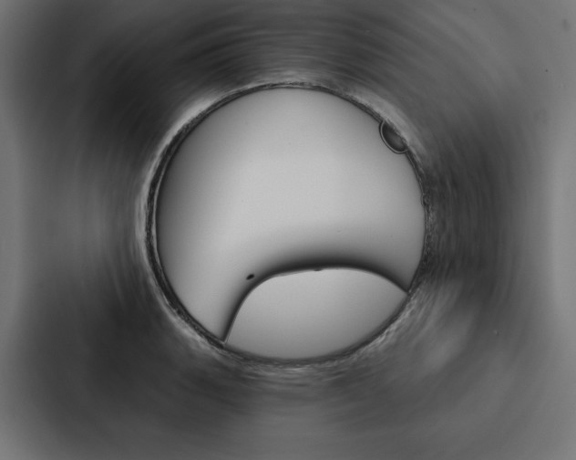 X0000088181135200705150934
