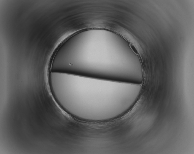 X0000088181141200705150934