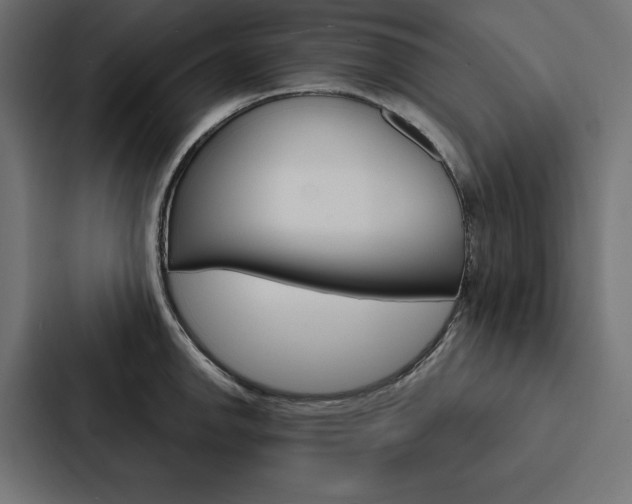 X0000088181142200705150934