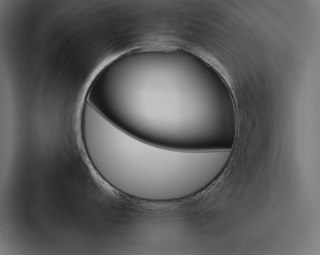 X0000088181152200705150934