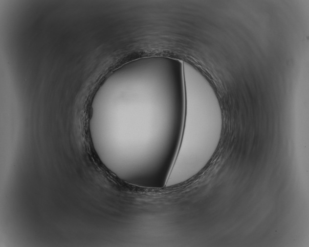 X0000088181153200705150934