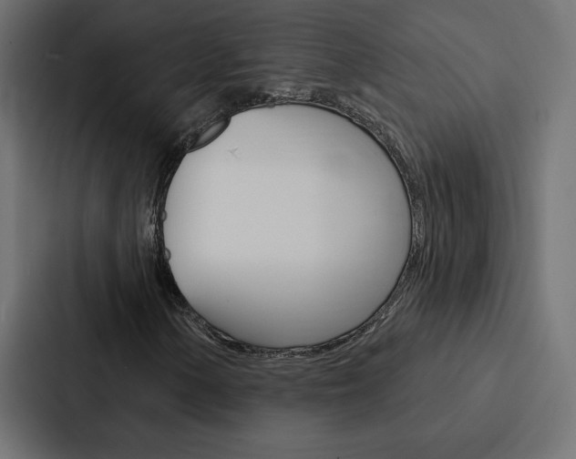 X0000088181154200705150934