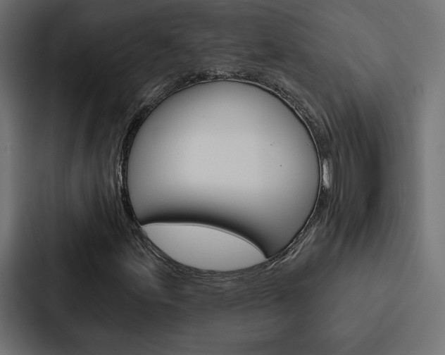 X0000088181155200705150934