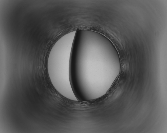 X0000088181156200705150934