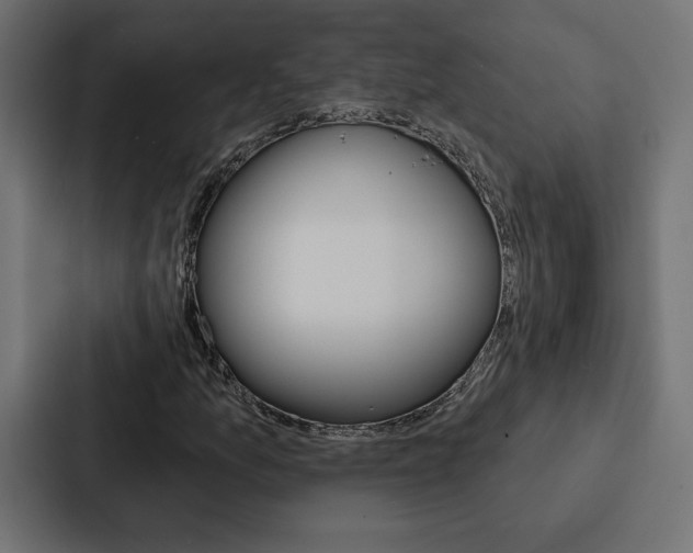X0000088181157200705150934