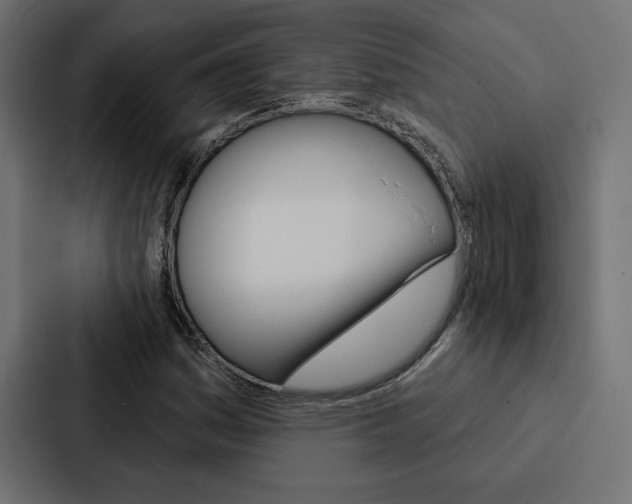 X0000088181161200705150934