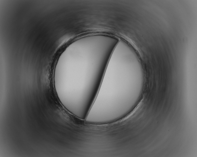 X0000088181163200705150933