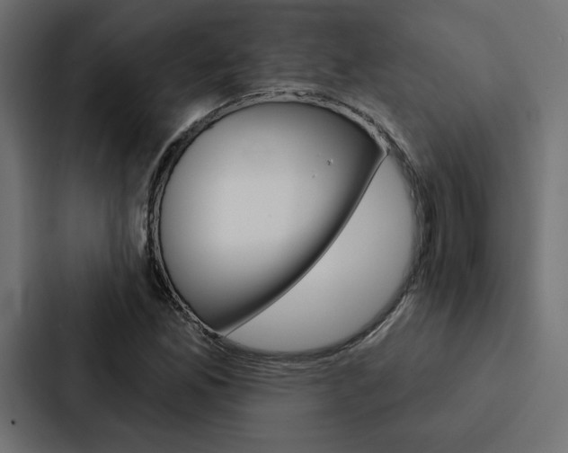 X0000088181165200705150933