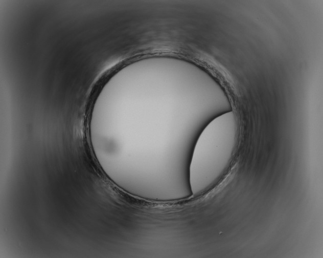 X0000088181166200705150933