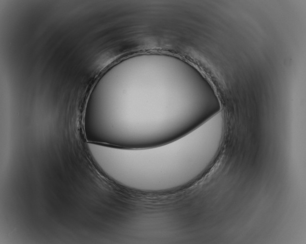X0000088181169200705150933