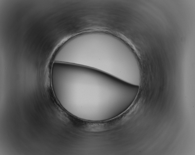 X0000088181171200705150933