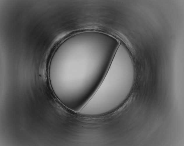 X0000088181172200705150933