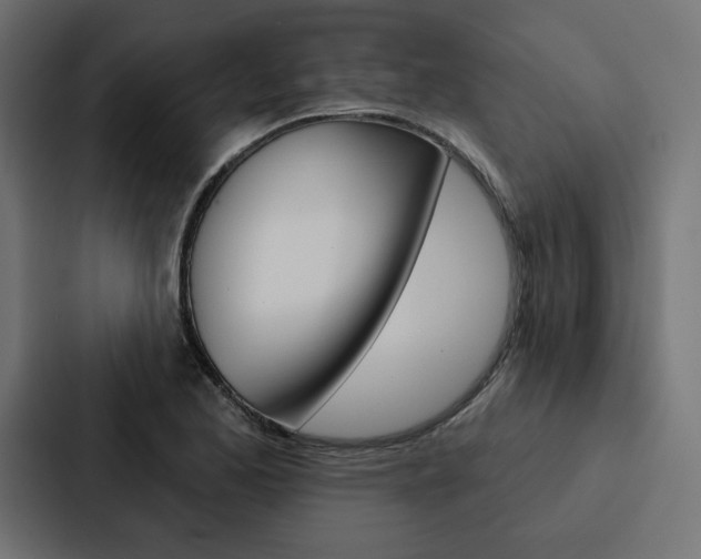 X0000088181173200705150933