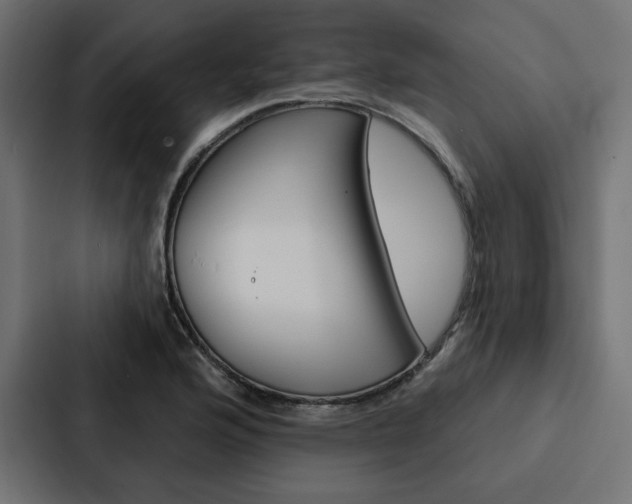 X0000088181176200705150933