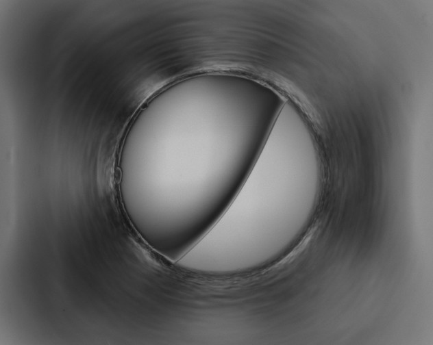 X0000088181177200705150933