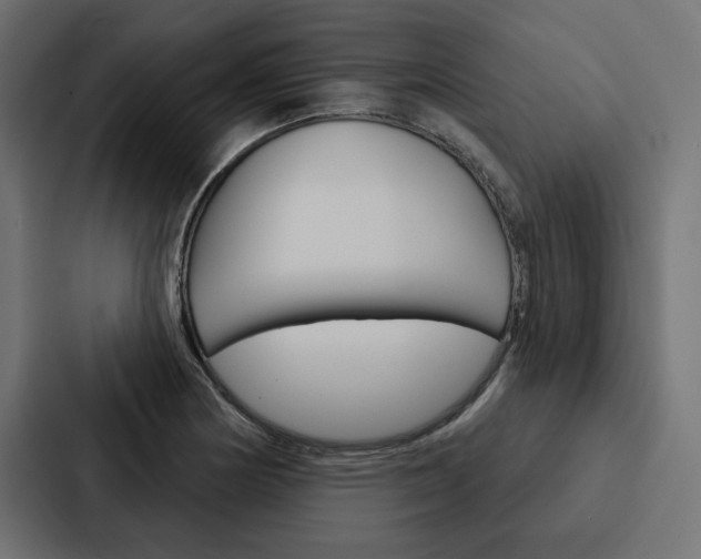 X0000088181178200705150933