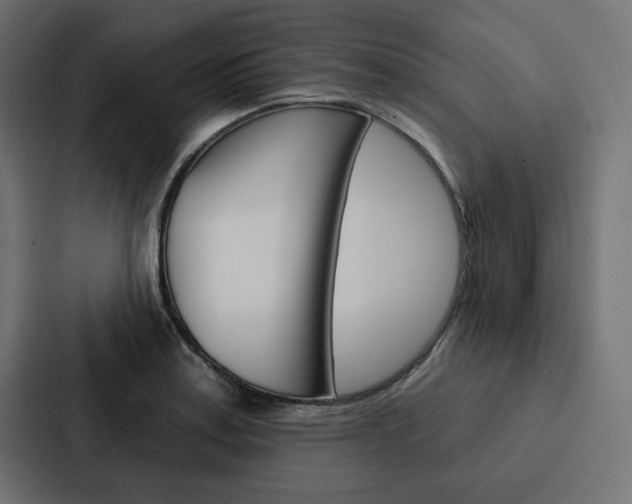 X0000088181179200705150933