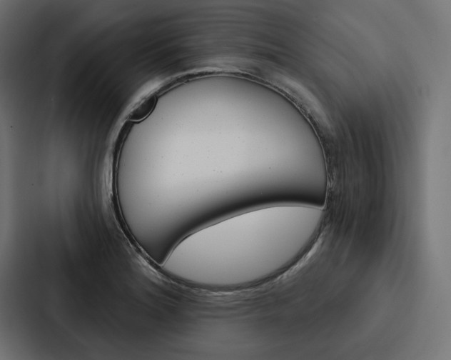 X0000088181180200705150933