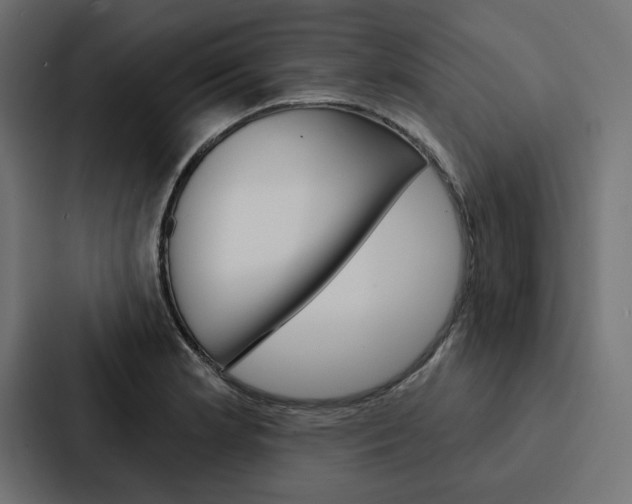 X0000088181181200705150933