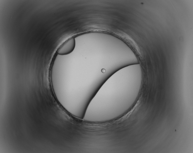 X0000088181182200705150933