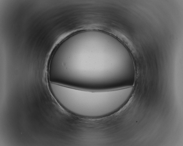 X0000088181184200705150933