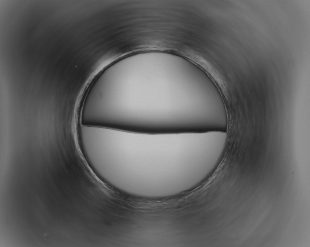 X0000088181187200705150933
