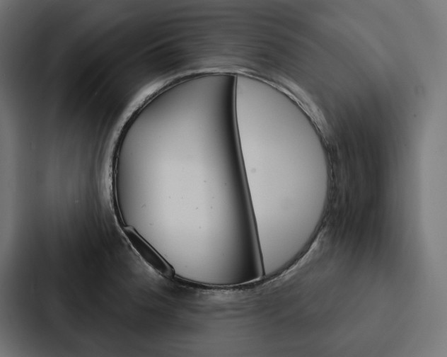 X0000088181188200705150933