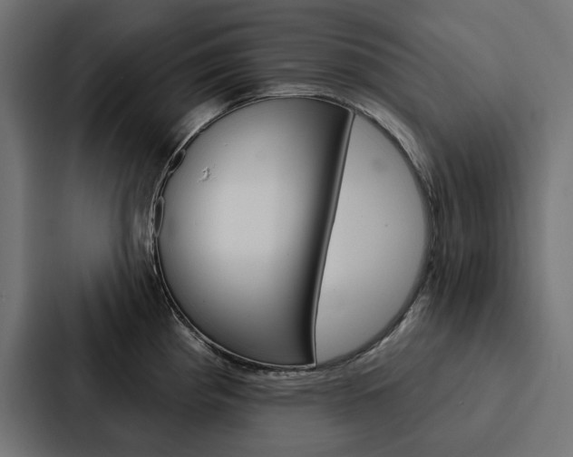 X0000088181193200705150933