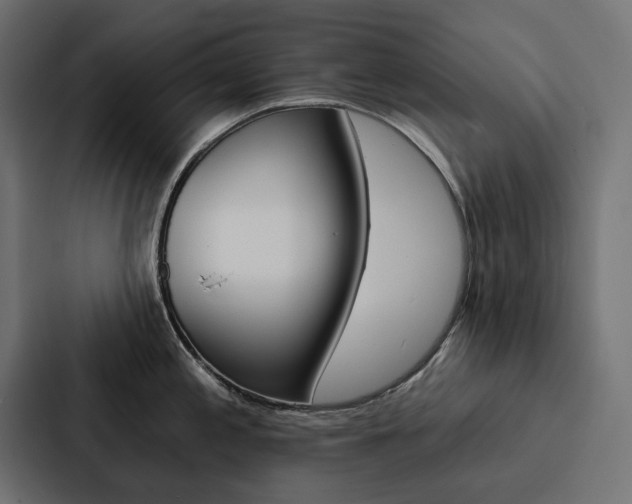 X0000088181197200705150933