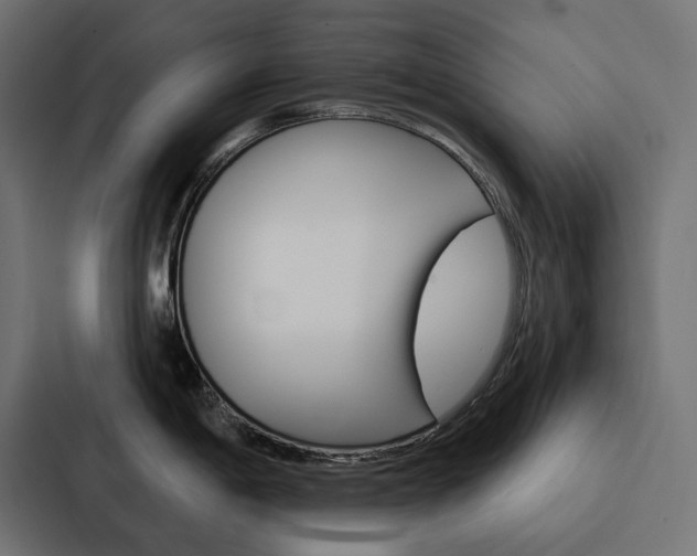 X0000088181198200705150933