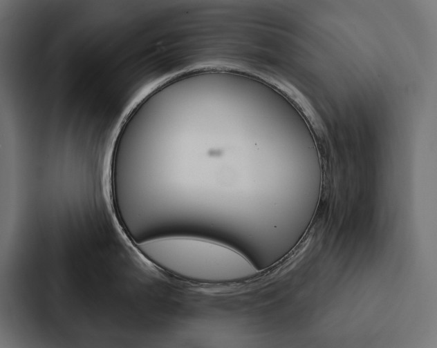 X0000088181199200705150933