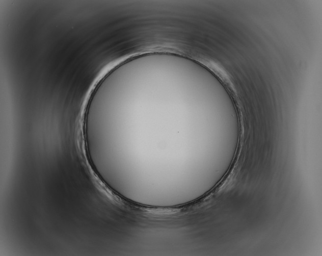 X0000088181200200705150933